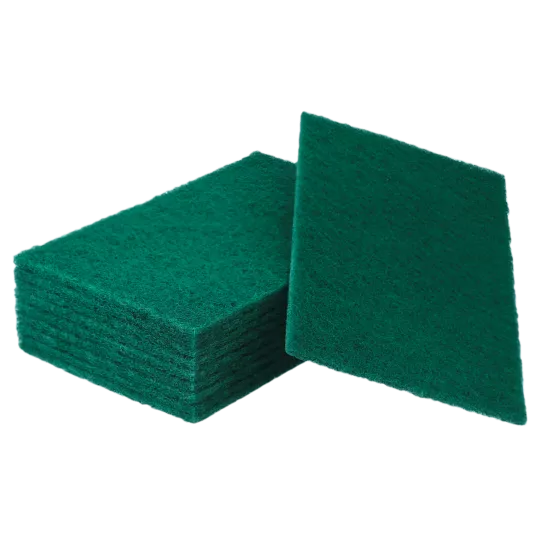 EPONGE ABRASIF 22,5X14CM