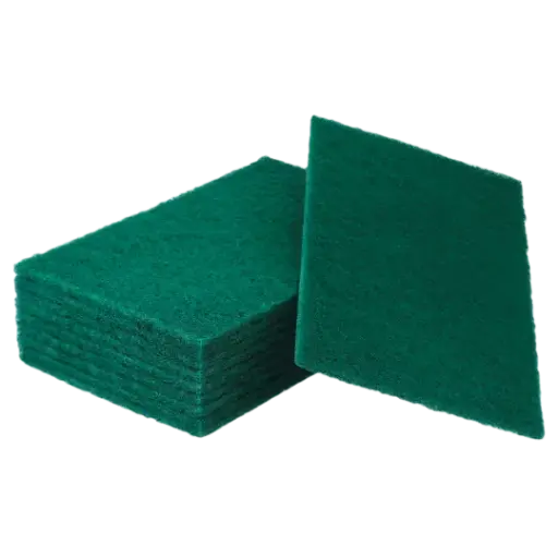 [CHA-18-2-004] EPONGE ABRASIF 22,5X14CM